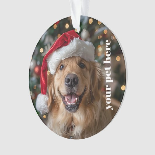 Custom オーナメント (正面)