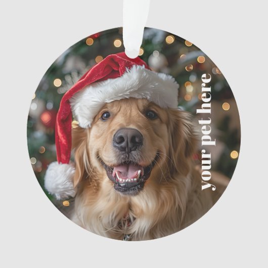 Custom オーナメント (正面)