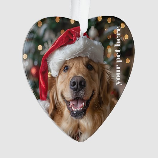 Custom オーナメント (正面)