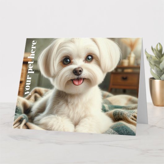 Custom カード (小さな植物)