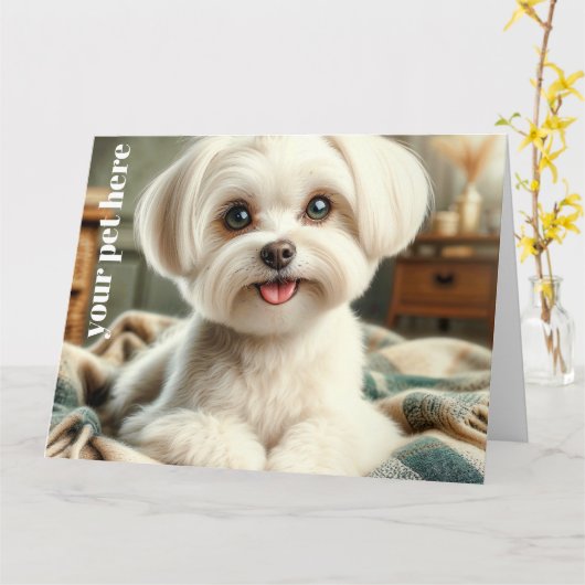 Custom カード (黄色い花)