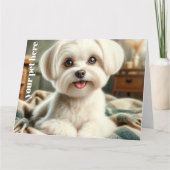 Custom カード (正面)