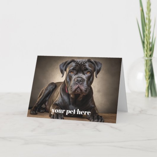 Custom カード (正面)