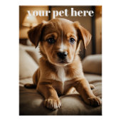 Custom ポスター (正面)