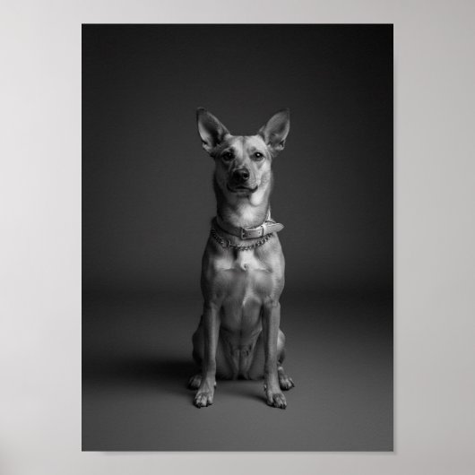 Custom 4K Black & White Pet Portrait Poster ポスター (正面)