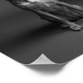 Custom 4K Black & White Pet Portrait Poster ポスター (角)