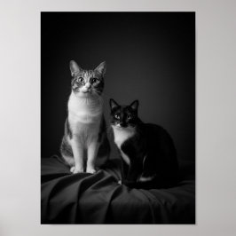 Custom 4K Black & White Pet Portrait Poster  ポスター