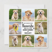 Custom 8 Photo Collage Pet Dog Loss Remembrance サンキューカード (正面)