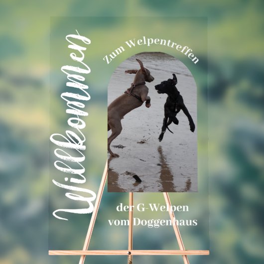 Custom Acrylic Photo Sign – Great Dane Edition アクリルサイン (ニュートラル)