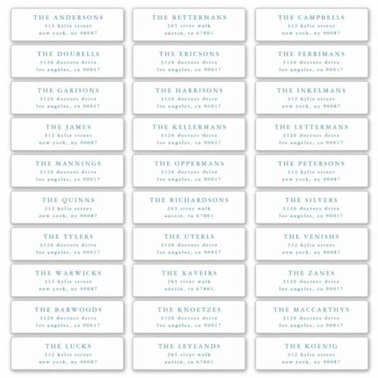 Custom Blue Individual Editable Address Stickers シール (正面)