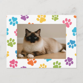 Custom Cat Lover Postcard with Photo ポストカード