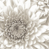 Custom-Cut Vinyl Sticker シール (正面)