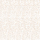 Custom-Cut Vinyl Sticker シール (正面)