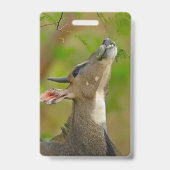 Custom deer バッジ (裏面)