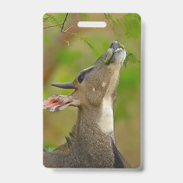 Custom deer バッジ