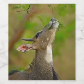 Custom deer ワインラベル (シングルラベル)