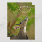 Custom deer 招待状 (正面/裏面)