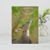 Custom deer 招待状 (スタンド正面)