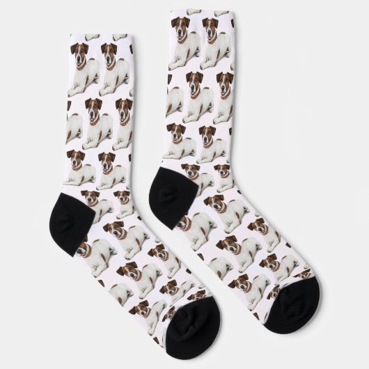 Custom Dog Face Photo Socks with Personalized ソックス (右)
