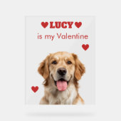 Custom Dog Photo Acrylic Sign アクリルサイン (正面)