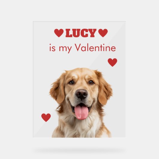 Custom Dog Photo Acrylic Sign アクリルサイン (正面)