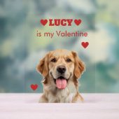 Custom Dog Photo Acrylic Sign アクリルサイン (ニュートラル)