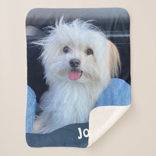 Custom Dog Photo Blanket with Pet's Name シェルパブランケット (正面)