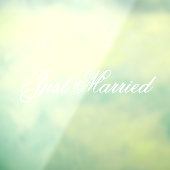 Custom Elegant Just Married Car Wedding Banner  ウィンドウサイン (シート3)