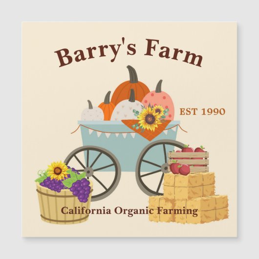 Custom Farm Fun (正面)