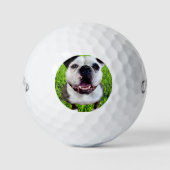 Custom Golf Balls Bulldog Photo Create Your Own ゴルフボール (正面)