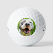 Custom Golf Balls With Dog Photo Create Your Own ゴルフボール (正面)