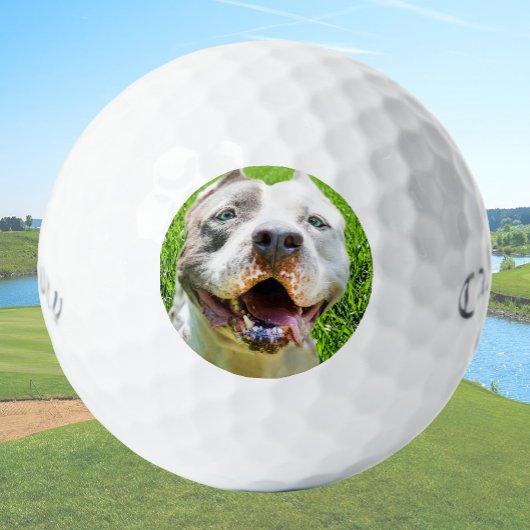 Custom Golf Balls With Dog Photo Create Your Own ゴルフボール