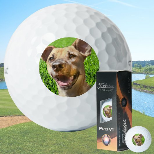 Custom Golf Balls With Dog Picture Create Your Own ゴルフボール