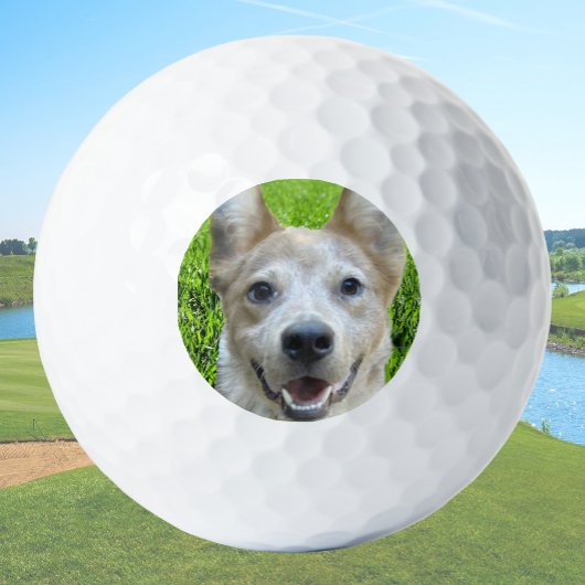 Custom Golf Balls With Dog Picture Create Your Own ゴルフボール