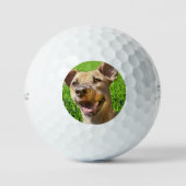 Custom Golf Balls With Dog Picture Create Your Own ゴルフボール (正面)