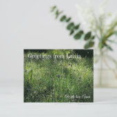 Custom Greetings from Latvia Wildflower Photograph ポストカード (スタンド正面)