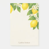 Custom Lemon Orchard 4" x 6" Post-it® Notes ポストイット (正面)