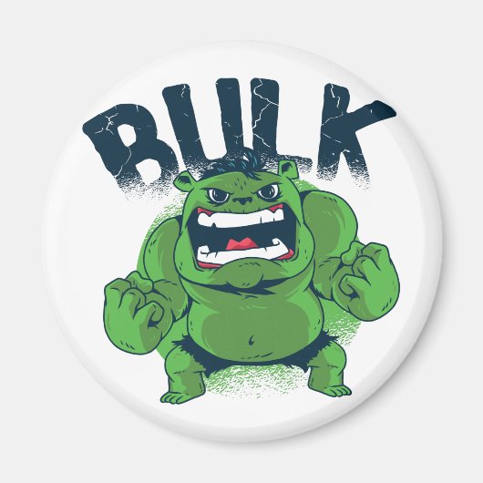 Custom Magnet Bulk マグネット (正面)