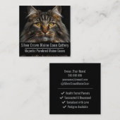 Custom Maine Coon Cattery Business Card  スクエア名刺 (正面/裏面)