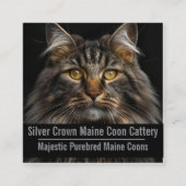 Custom Maine Coon Cattery Business Card  スクエア名刺 (正面)