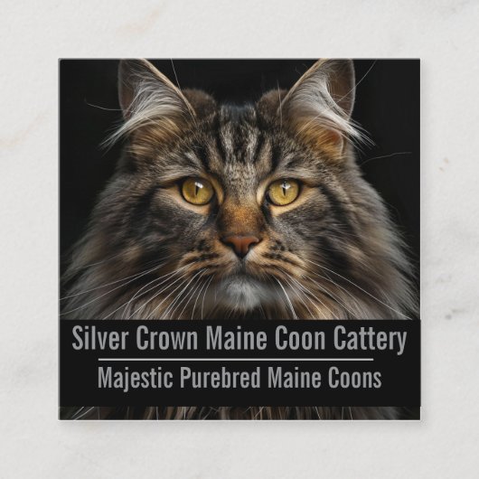 Custom Maine Coon Cattery Business Card  スクエア名刺 (正面)