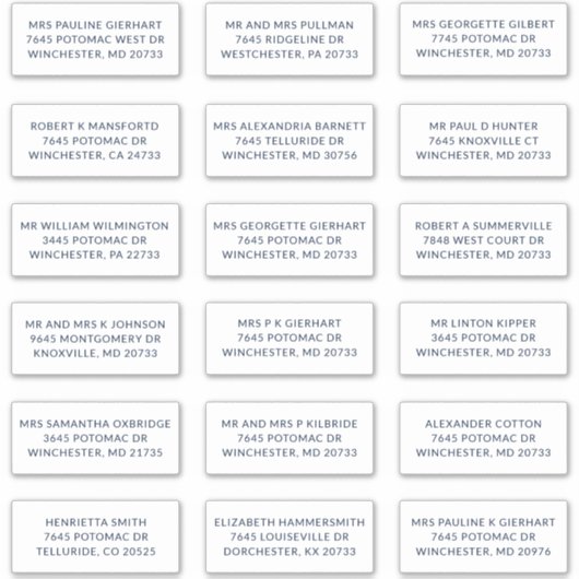 Custom Name 18 Shipping Large Address Labels シール (正面)