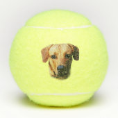 Custom Personalised Dog Tennis Balls テニスボール (正面)