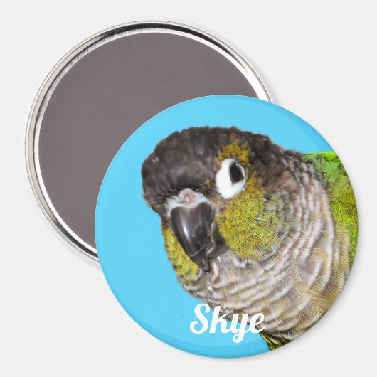 Custom Pet Bird Photo Name マグネット (正面/裏面)