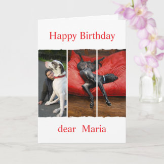 Custom pet (dog) photo and message カード
