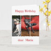 Custom pet (dog) photo and message カード (黄色い花)