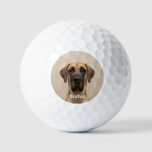 Custom Pet Dog Photo Great Dane Personalized ゴルフボール (正面)