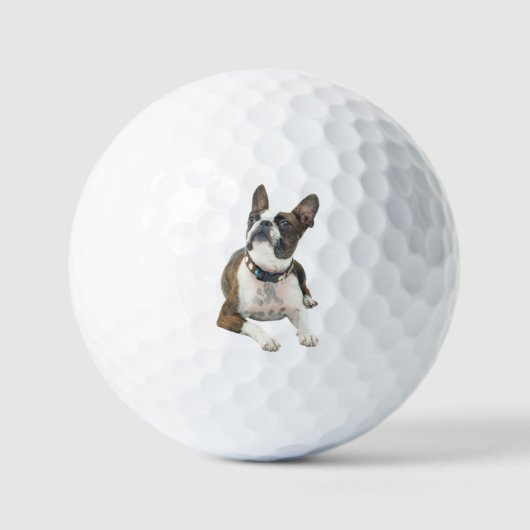 Custom Pet Dog Photo Modern Personalized Golf Ball ゴルフボール (正面)