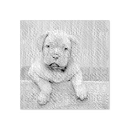 Custom Pet Dog Photo Rubber Personalized Stamp ラバースタンプ