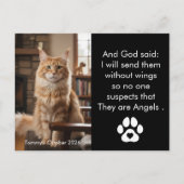 Custom Pet Memorial Photo Postcard  ポストカード (正面)